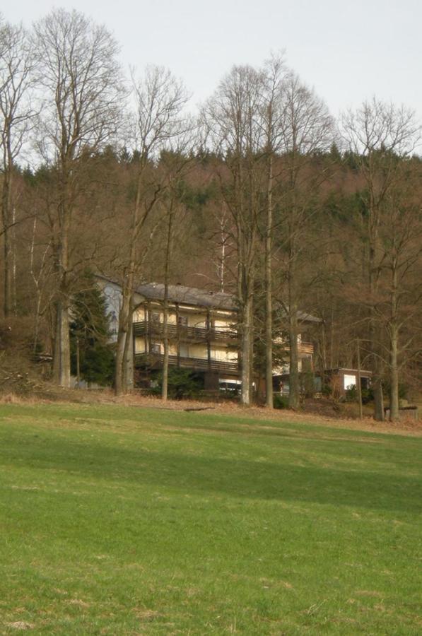 Ferienhaus Napoleon Waldmünchen Εξωτερικό φωτογραφία